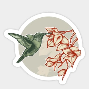 Hummingbird and bougainvillea Sticker